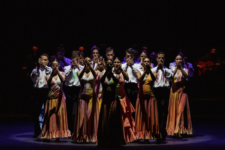 Photo De lo flamenco (copy Jesús Robisco)