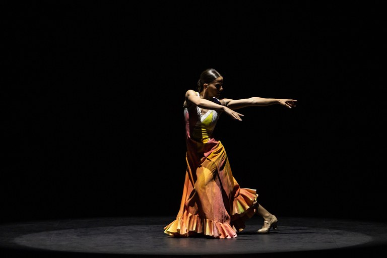 Photo De lo flamenco. Invocación (copy Jesús Robisco)