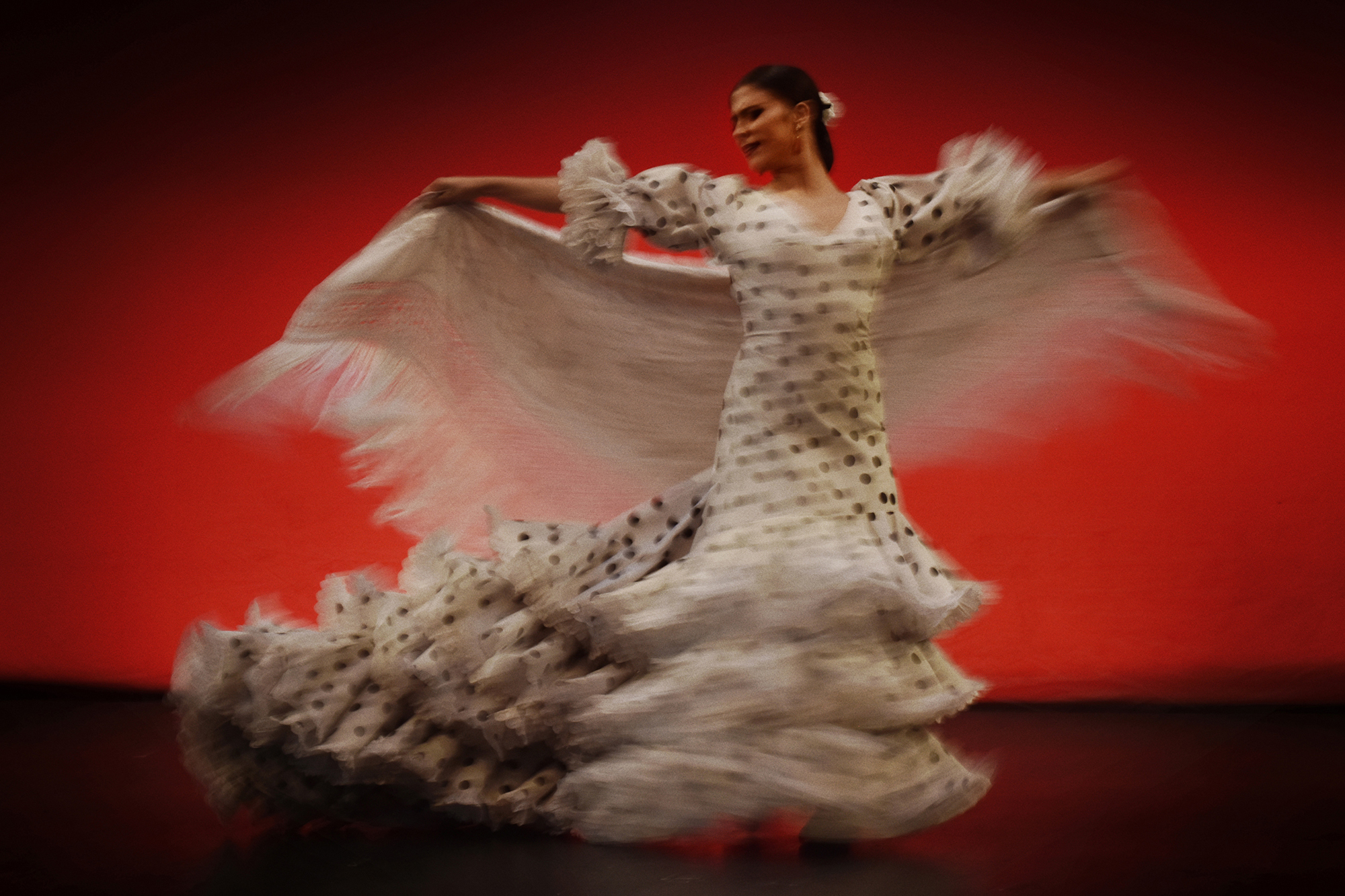 Photo Estampas Flamencas Centenario Antonio Ruiz Soler (copy Pablo Guidali)