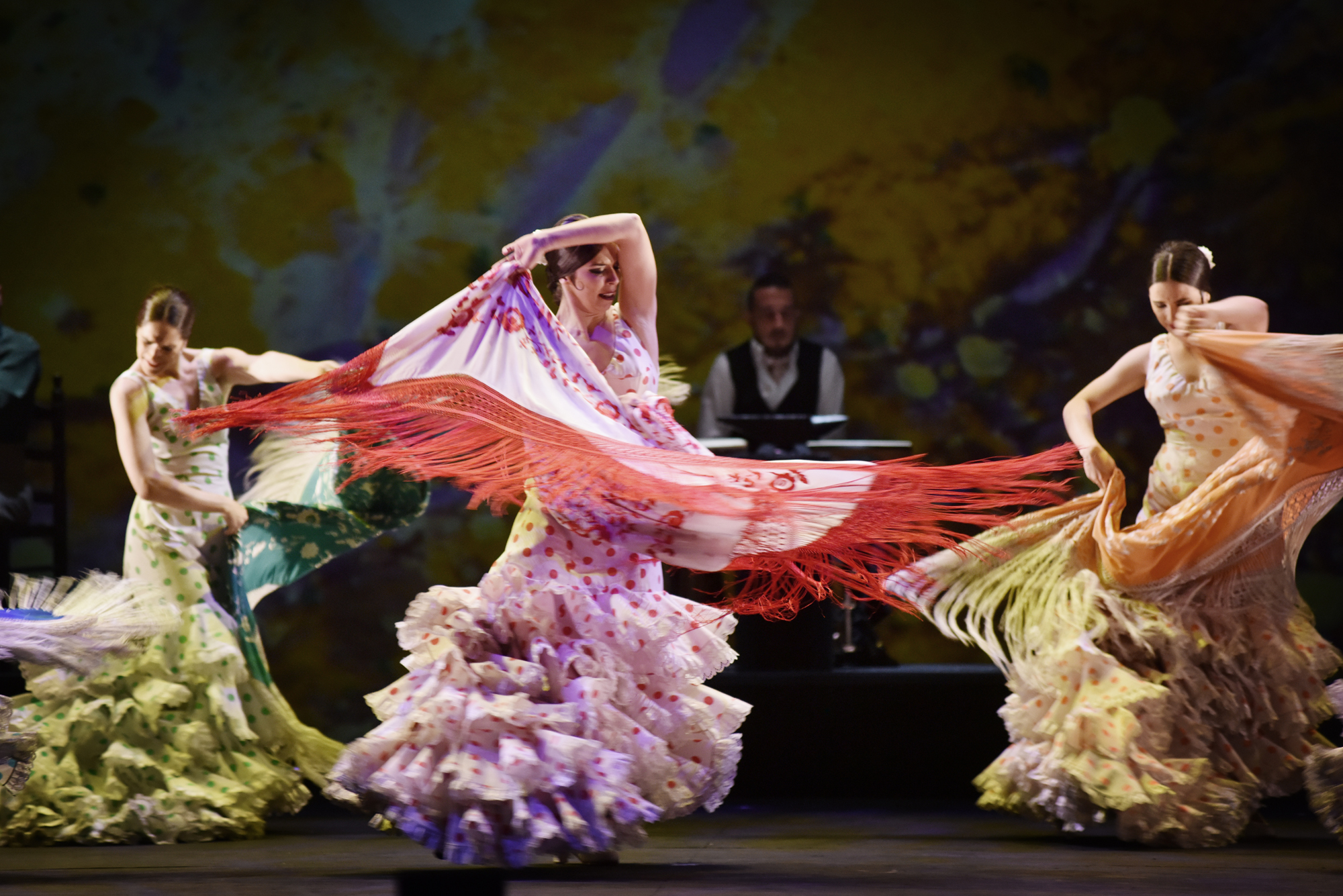 Photo Estampas Flamencas Centenario Antonio Ruiz Soler (copy Pablo Guidali)