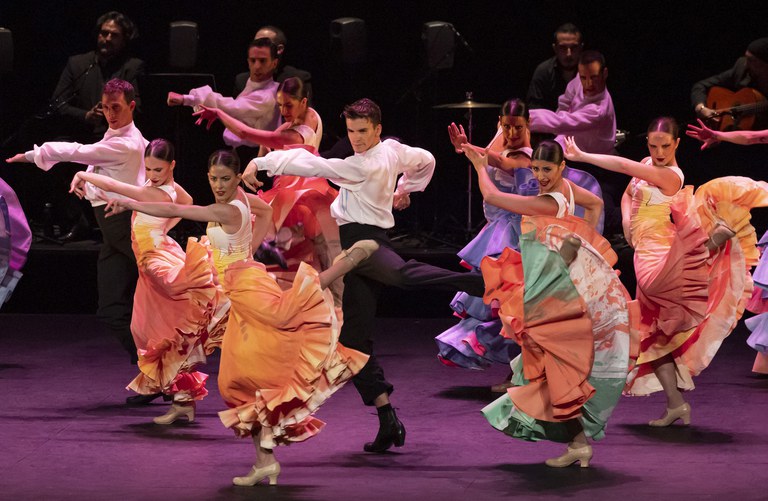 Photo De lo flamenco (copy Miguel Lorenzo and Mikel Ponce_LesArts)