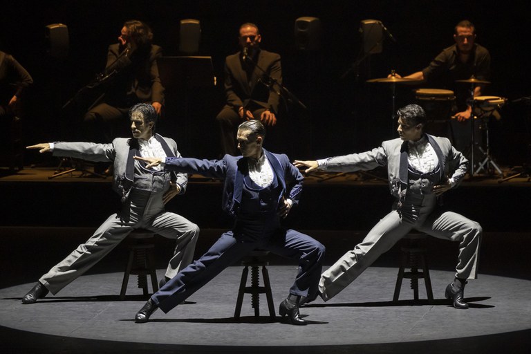 Photo De lo flamenco (copy Miguel Lorenzo and Mikel Ponce_LesArts)
