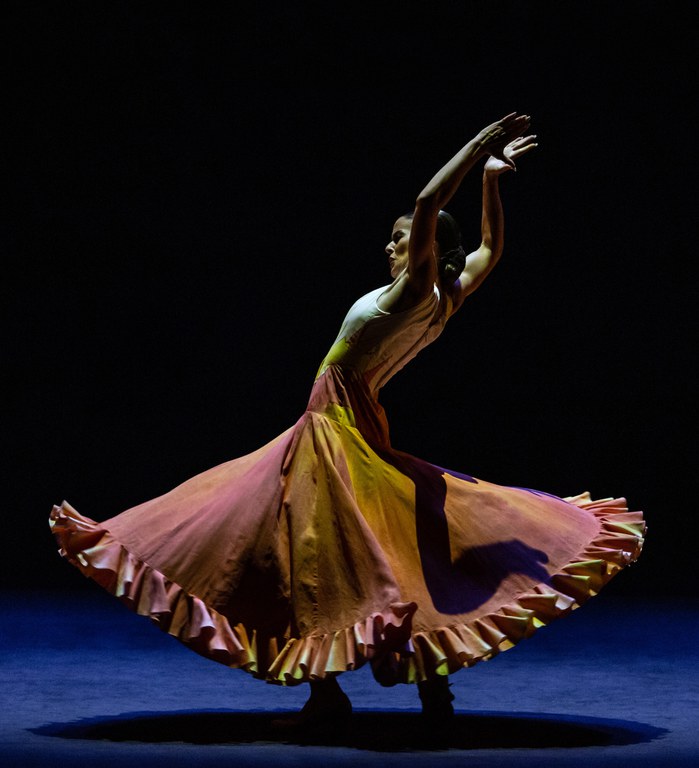 Photo De lo flamenco (copy Jesús Robisco)