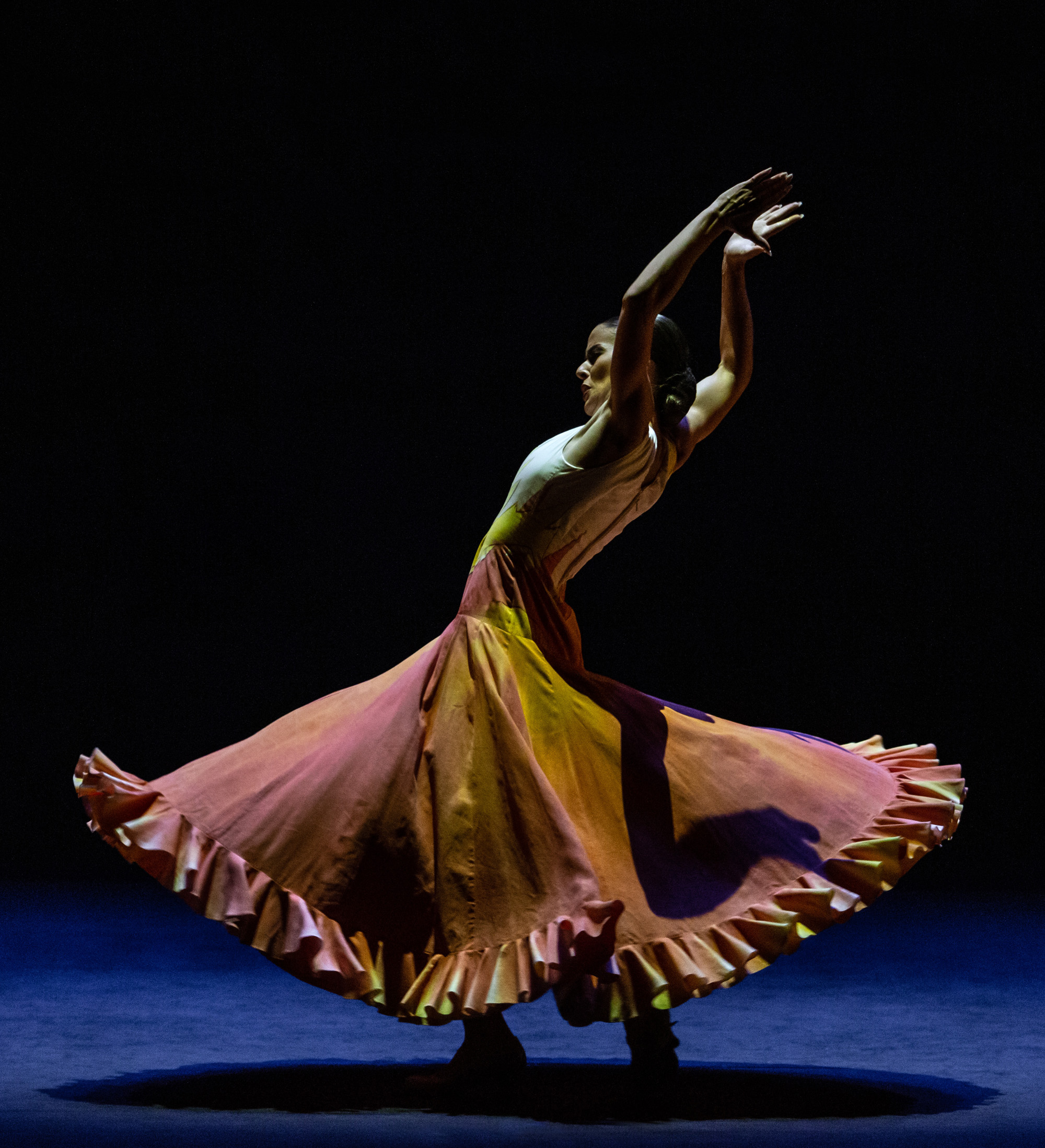 Photo De lo flamenco (copy Jesús Robisco)