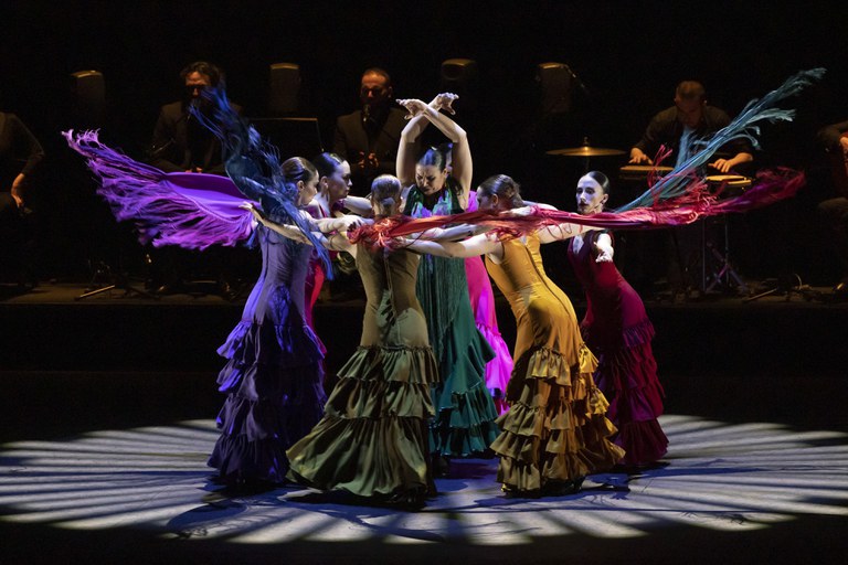 Photo De lo flamenco (copy Miguel Lorenzo and Mikel Ponce_LesArts)