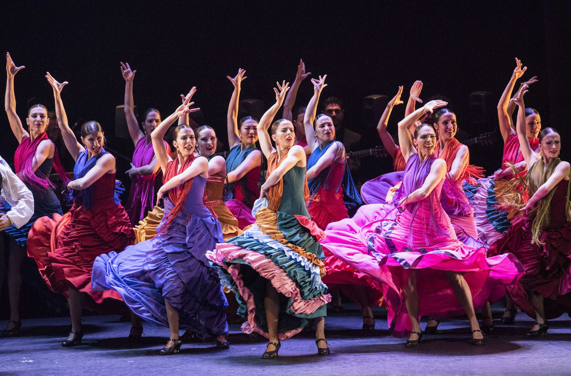 Photo De lo flamenco (copy Javier Enrique Fernández)