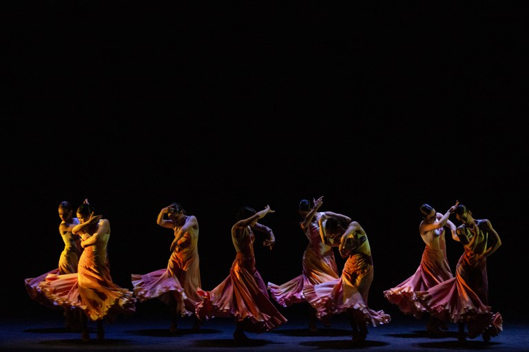 Foto De lo flamenco 2 (copy Jesús Robisco)