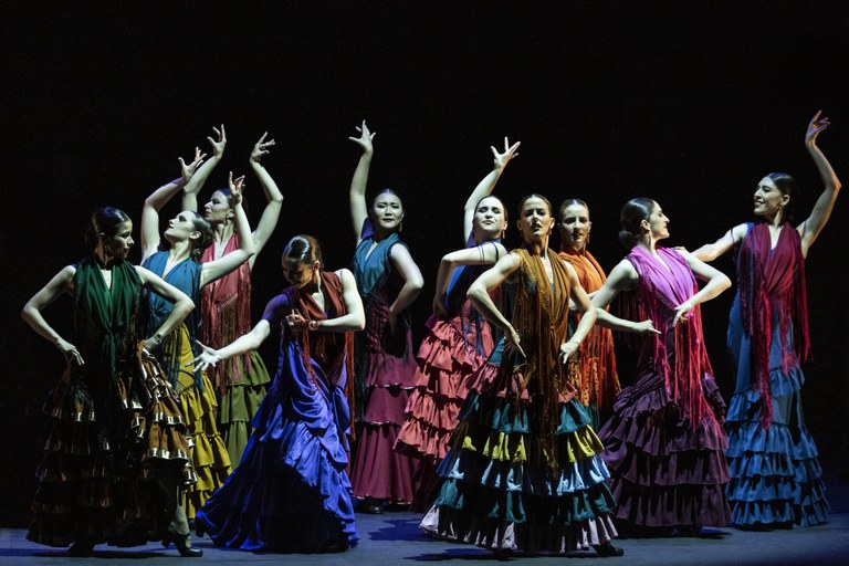 Foto De lo flamenco. Homenaje a Mario Maya  (copy Jesús Robisco)